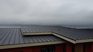 Best Hot Roofs  in Renovo, PA